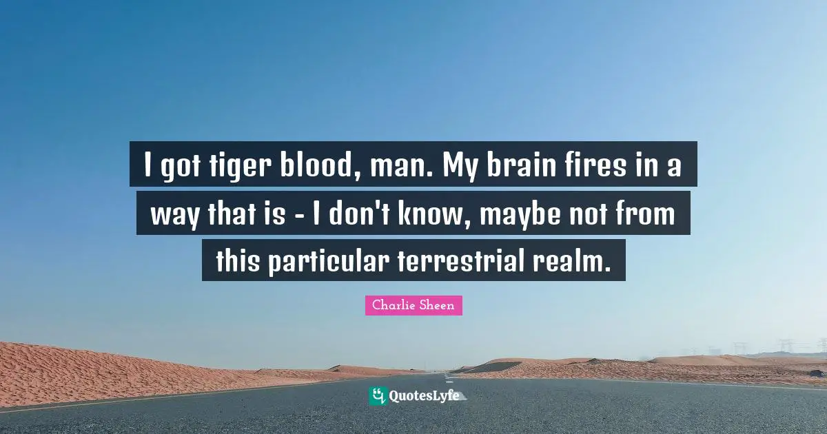 I got tiger blood, man. My brain fires in a way that is - I don't know, maybe not from this particular terrestrial realm.