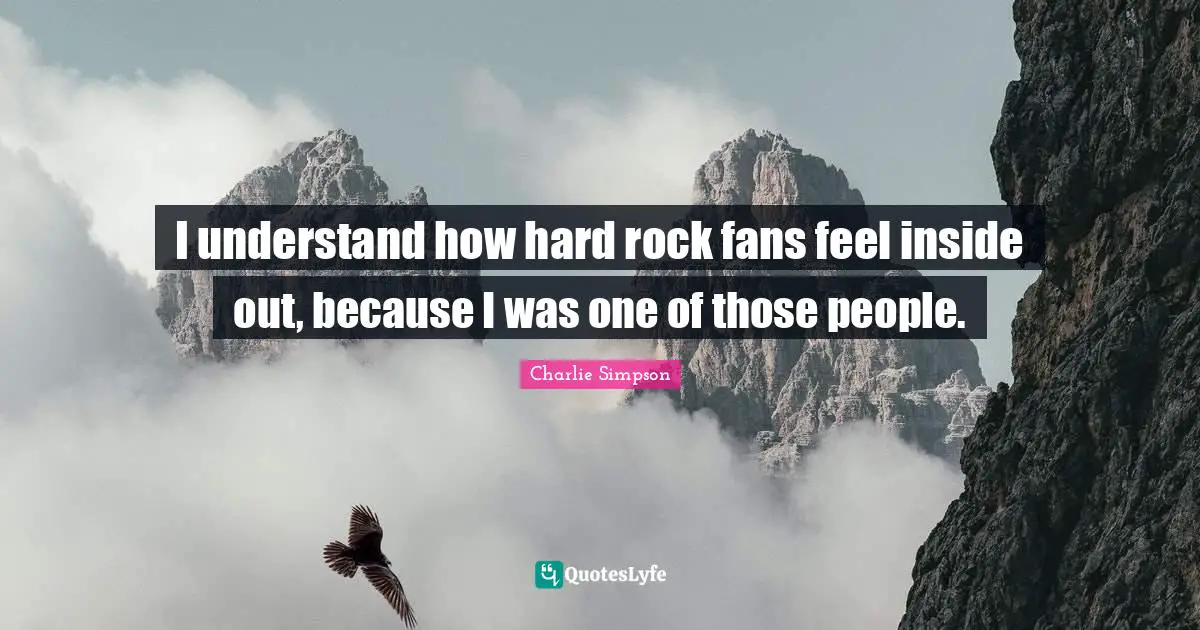 I understand how hard rock fans feel inside out, because I was one of those people.