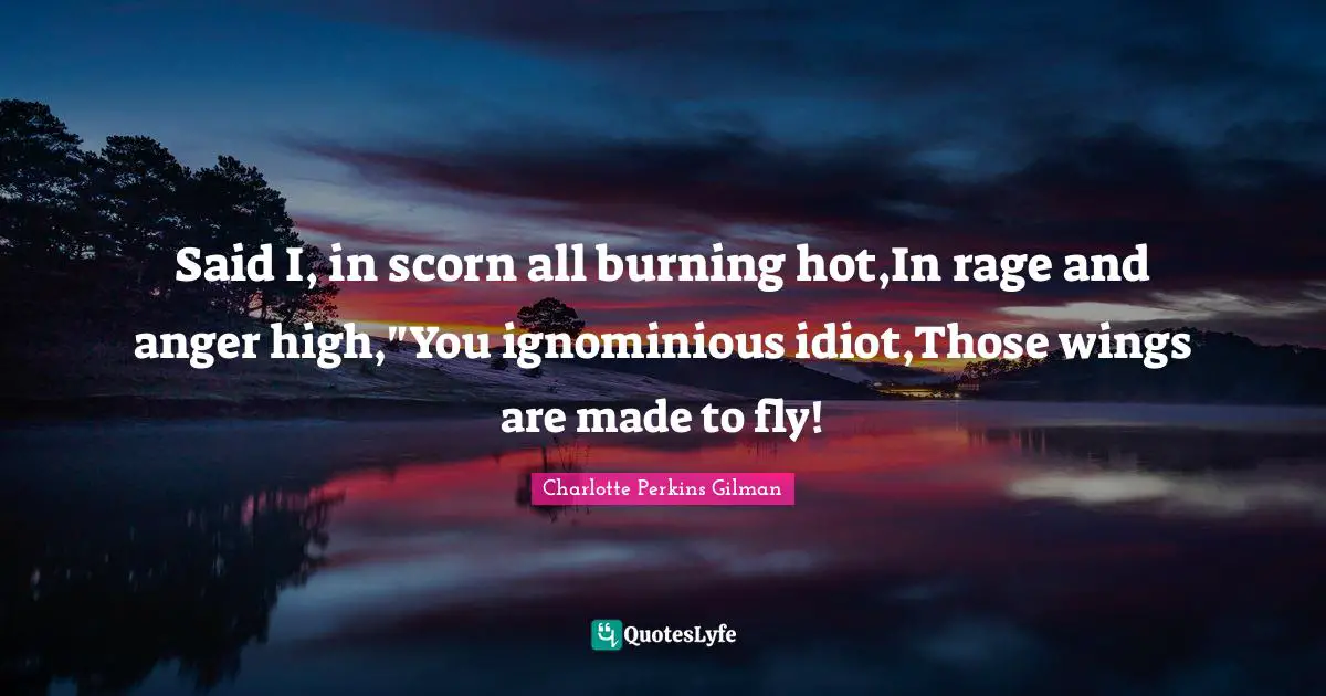 Said I, in scorn all burning hot,In rage and anger high,"You ignominious idiot,Those wings are made to fly!