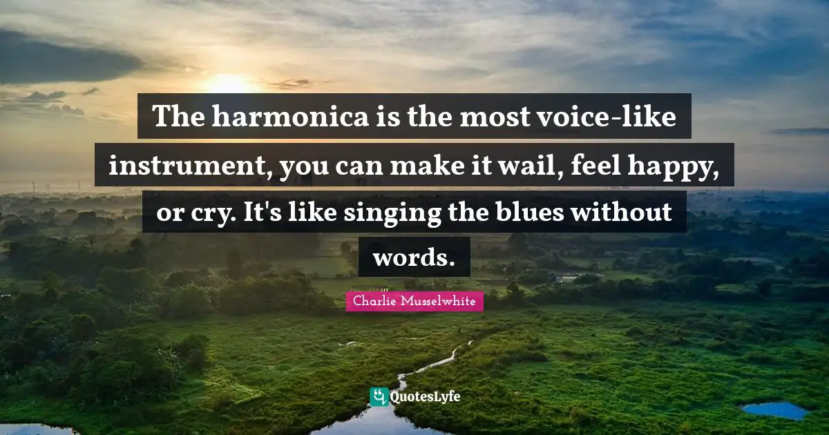 The harmonica is the most voice-like instrument, you can make it wail, feel happy, or cry. It's like singing the blues without words.
