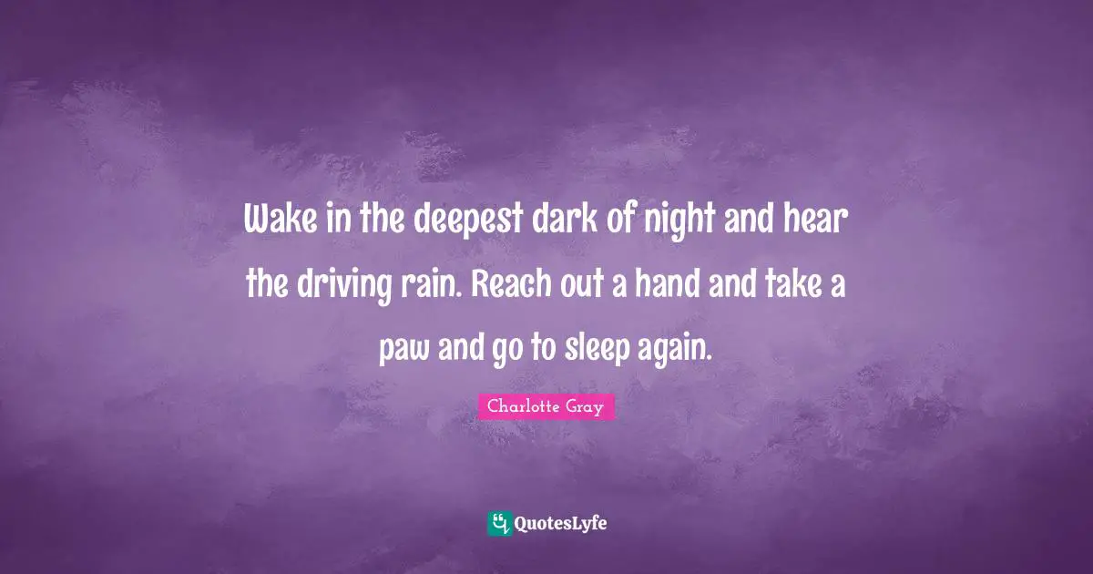 Wake in the deepest dark of night and hear the driving rain. Reach out a hand and take a paw and go to sleep again.