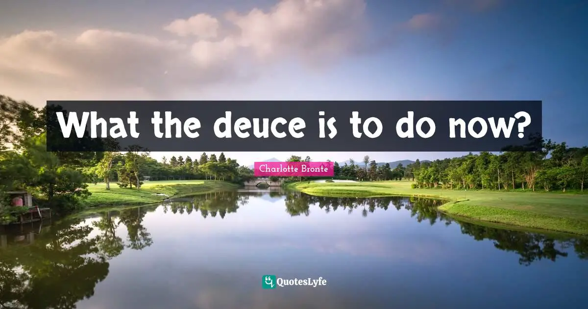 What the deuce is to do now?