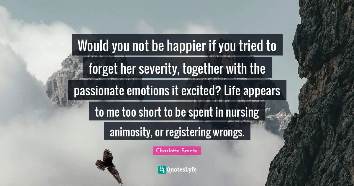 Would you not be happier if you tried to forget her severity, together with the passionate emotions it excited? Life appears to me too short to be spent in nursing animosity, or registering wrongs.