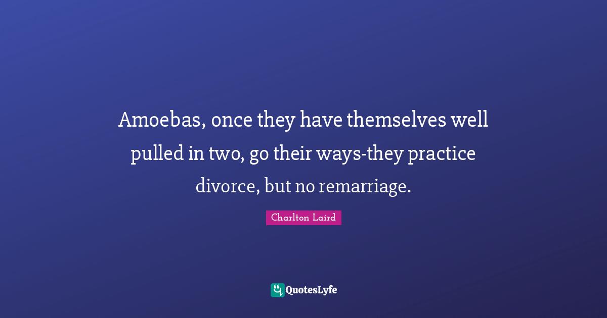 Amoebas, once they have themselves well pulled in two, go their ways-they practice divorce, but no remarriage.
