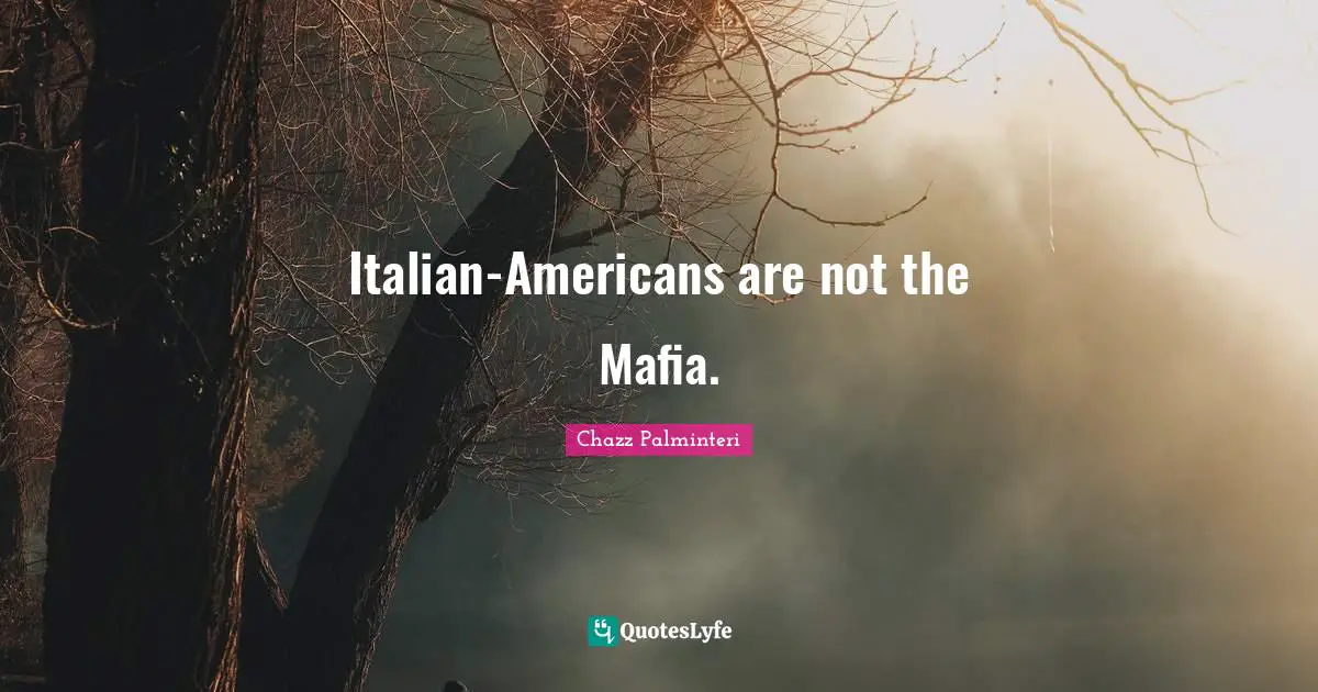 Italian-Americans are not the Mafia.