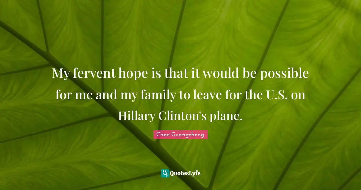 My fervent hope is that it would be possible for me and my family to leave for the U.S. on Hillary Clinton's plane.