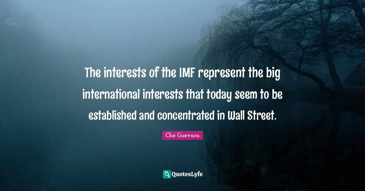 Imf Quotes: "The interests of the IMF represent the big international interests that today seem to be established and concentrated in Wall Street."