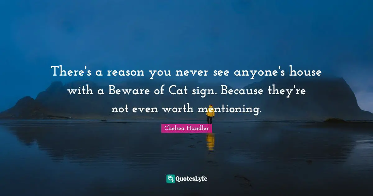 There's a reason you never see anyone's house with a Beware of Cat sign. Because they're not even worth mentioning.