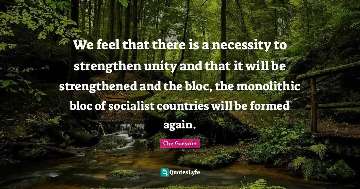 We feel that there is a necessity to strengthen unity and that it will be strengthened and the bloc, the monolithic bloc of socialist countries will be formed again.