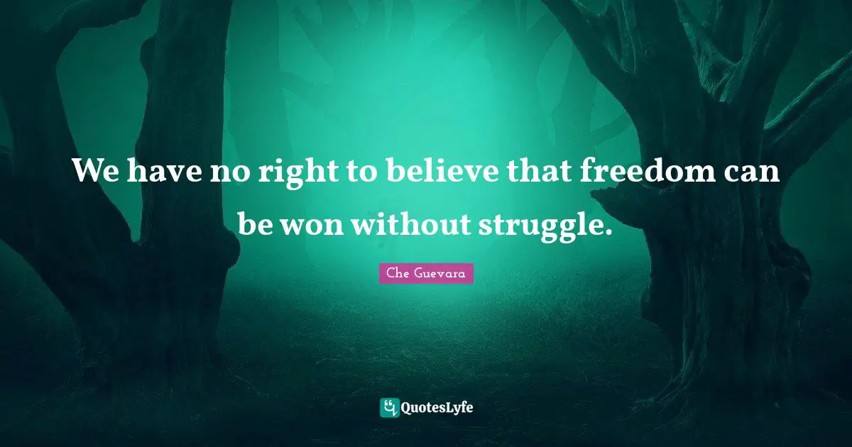 Che Guevara Quotes: We have no right to believe that freedom can be won without struggle.