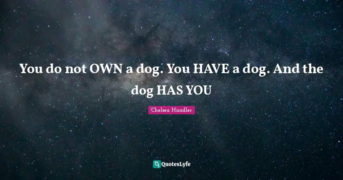 You do not OWN a dog. You HAVE a dog. And the dog HAS YOU