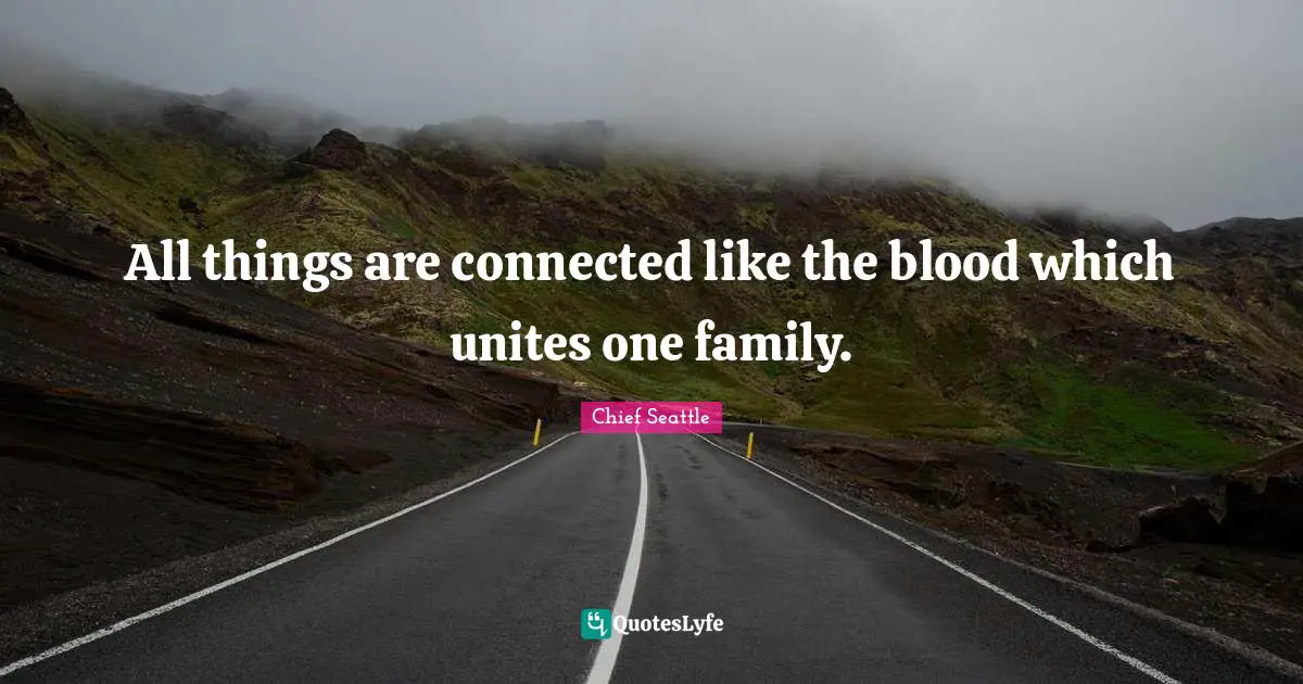 Animal Rights Quotes: "All things are connected like the blood which unites one family."