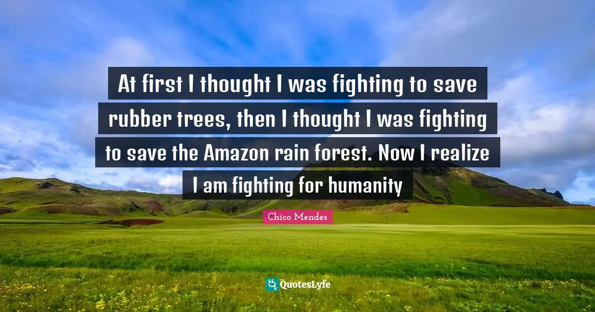 Rain Quotes: "At first I thought I was fighting to save rubber trees, then I thought I was fighting to save the Amazon rain forest. Now I realize I am fighting for humanity"