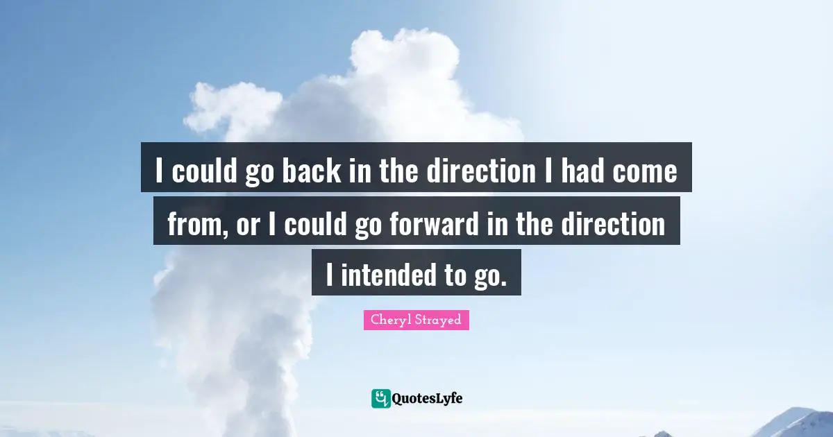 I could go back in the direction I had come from, or I could go forward in the direction I intended to go.
