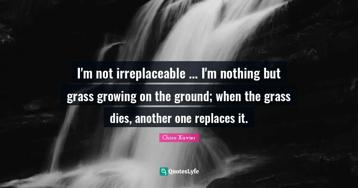 Chico Xavier Quotes: "I'm not irreplaceable ... I'm nothing but grass growing on the ground; when the grass dies, another one replaces it."