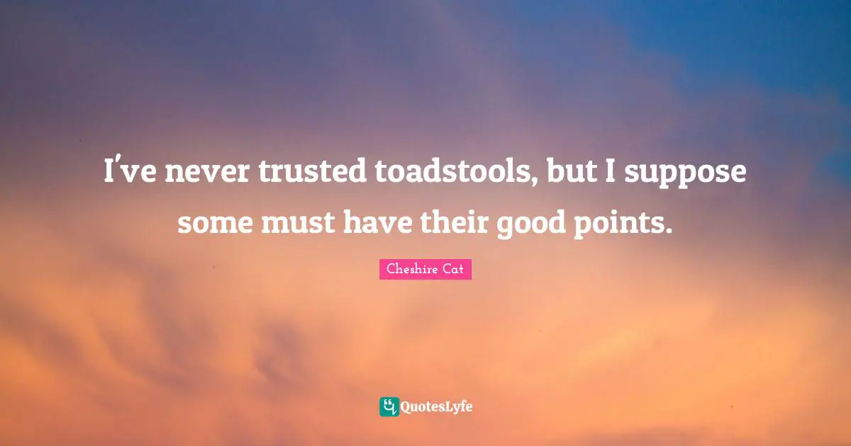 I've never trusted toadstools, but I suppose some must have their good points.