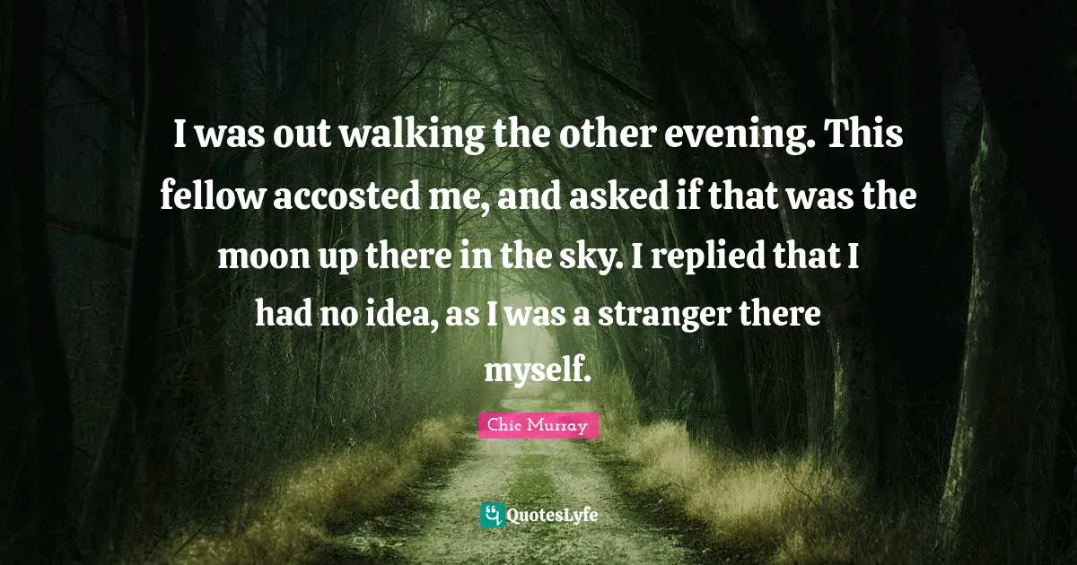 I was out walking the other evening. This fellow accosted me, and asked if that was the moon up there in the sky. I replied that I had no idea, as I was a stranger there myself.