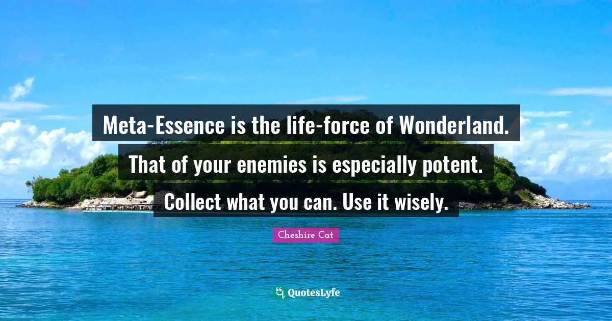 Meta-Essence is the life-force of Wonderland. That of your enemies is especially potent. Collect what you can. Use it wisely.