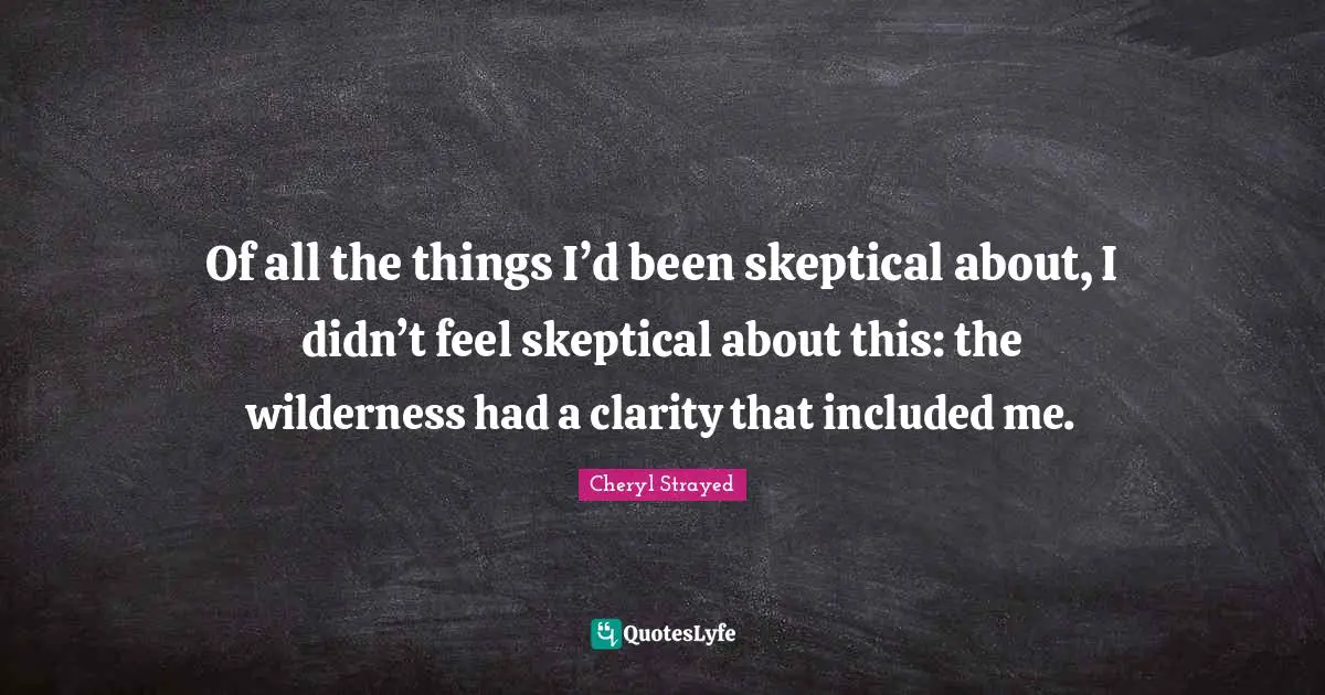 Of all the things I’d been skeptical about, I didn’t feel skeptical about this: the wilderness had a clarity that included me.