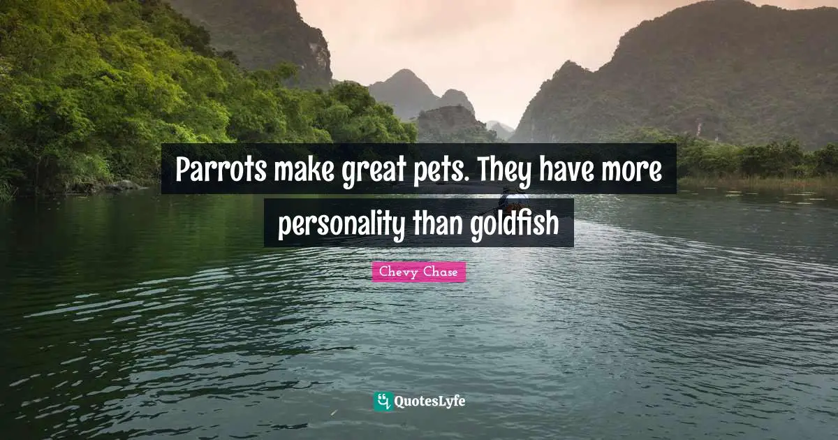 Personality Quotes: "Parrots make great pets. They have more personality than goldfish"