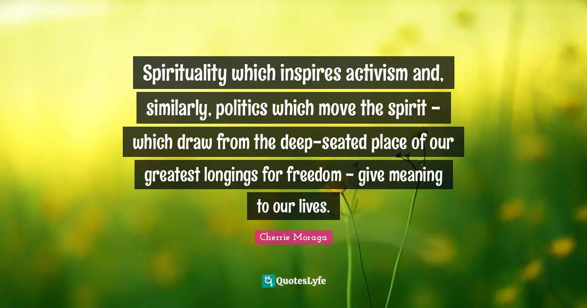 Spirituality which inspires activism and, similarly, politics which move the spirit - which draw from the deep-seated place of our greatest longings for freedom - give meaning to our lives.