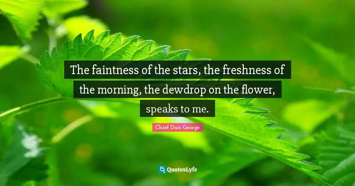 The faintness of the stars, the freshness of the morning, the dewdrop on the flower, speaks to me.