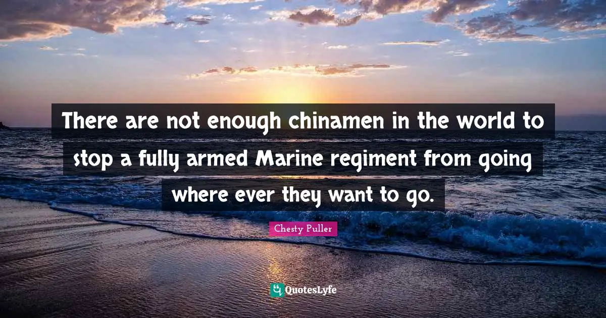There are not enough chinamen in the world to stop a fully armed Marine regiment from going where ever they want to go.