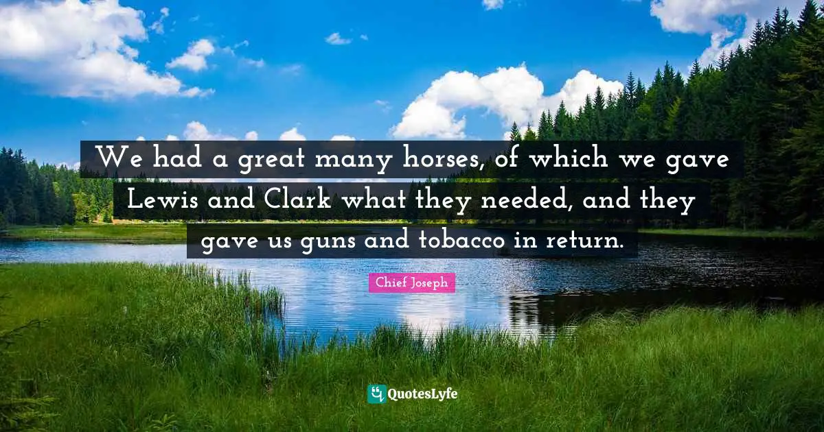 We had a great many horses, of which we gave Lewis and Clark what they needed, and they gave us guns and tobacco in return.