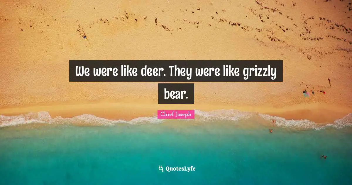 We were like deer. They were like grizzly bear.