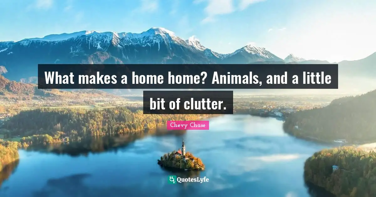 Clutter Quotes: "What makes a home home? Animals, and a little bit of clutter."