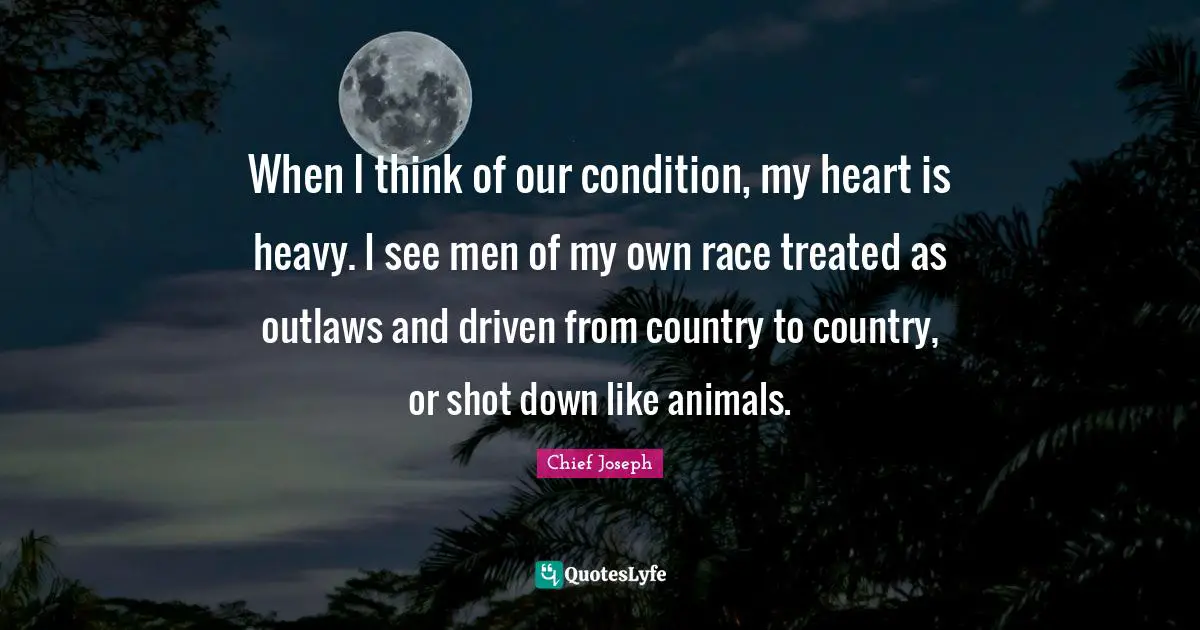 When I think of our condition, my heart is heavy. I see men of my own race treated as outlaws and driven from country to country, or shot down like animals.