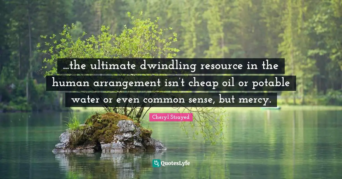 ...the ultimate dwindling resource in the human arrangement isn’t cheap oil or potable water or even common sense, but mercy.