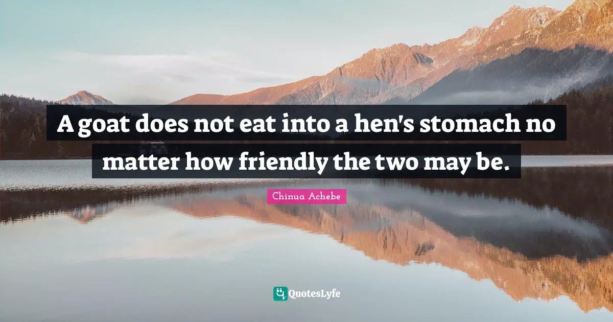 Stomach Quotes: "A goat does not eat into a hen's stomach no matter how friendly the two may be."