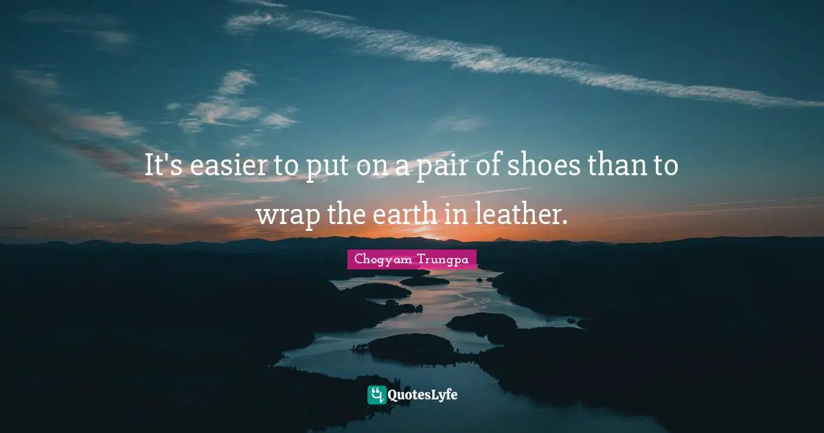 It's easier to put on a pair of shoes than to wrap the earth in leather.