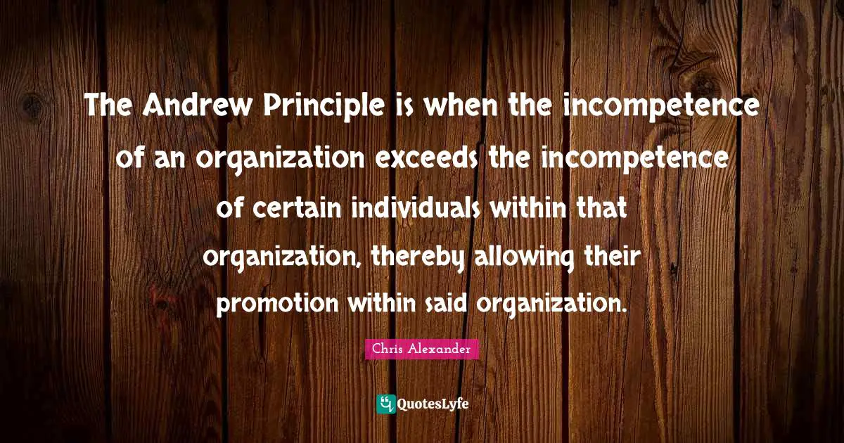 The Andrew Principle is when the incompetence of an organization exceeds the incompetence of certain individuals within that organization, thereby allowing their promotion within said organization.