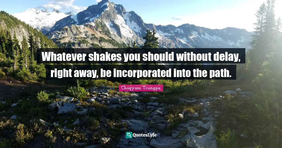 Whatever shakes you should without delay, right away, be incorporated into the path.