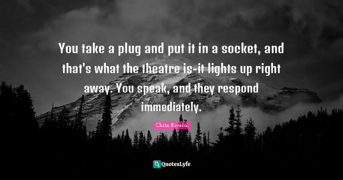You take a plug and put it in a socket, and that's what the theatre is-it lights up right away. You speak, and they respond immediately.