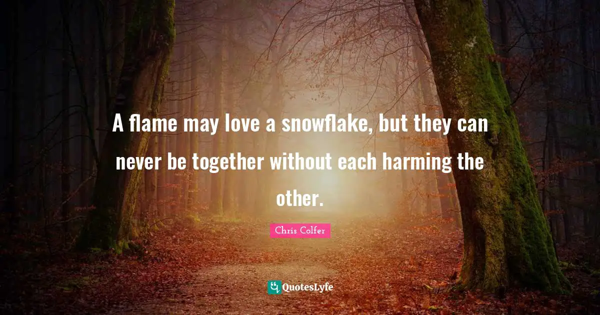 Snowflake Quotes: "A flame may love a snowflake, but they can never be together without each harming the other."