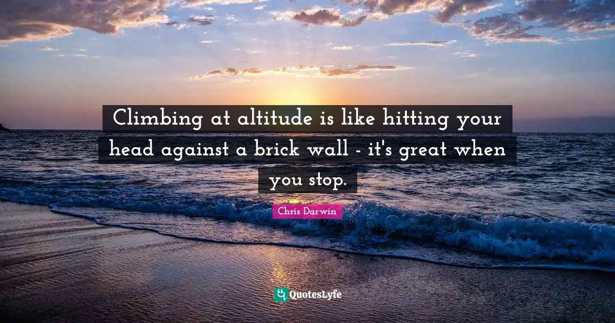 Climbing at altitude is like hitting your head against a brick wall - it's great when you stop.
