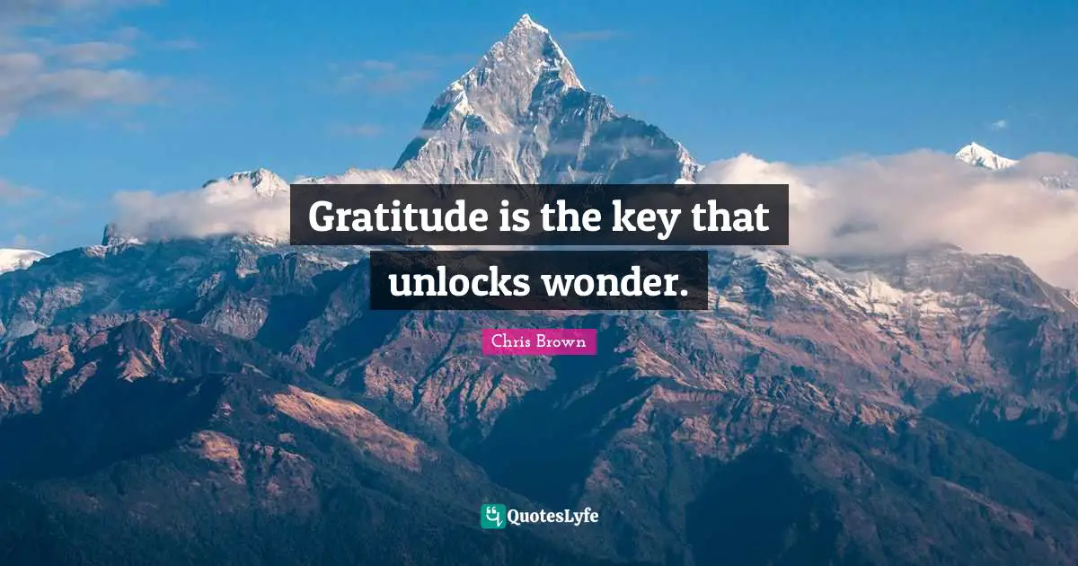 Chris Brown Quotes: "Gratitude is the key that unlocks wonder."
