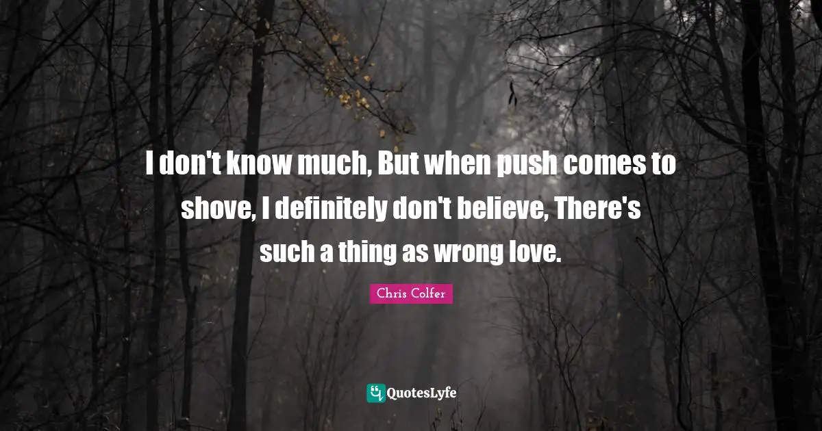 I don't know much, But when push comes to shove, I definitely don't believe, There's such a thing as wrong love.