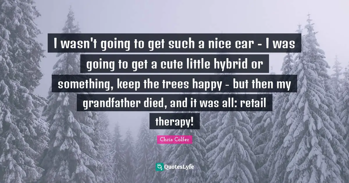 I wasn't going to get such a nice car - I was going to get a cute little hybrid or something, keep the trees happy - but then my grandfather died, and it was all: retail therapy!