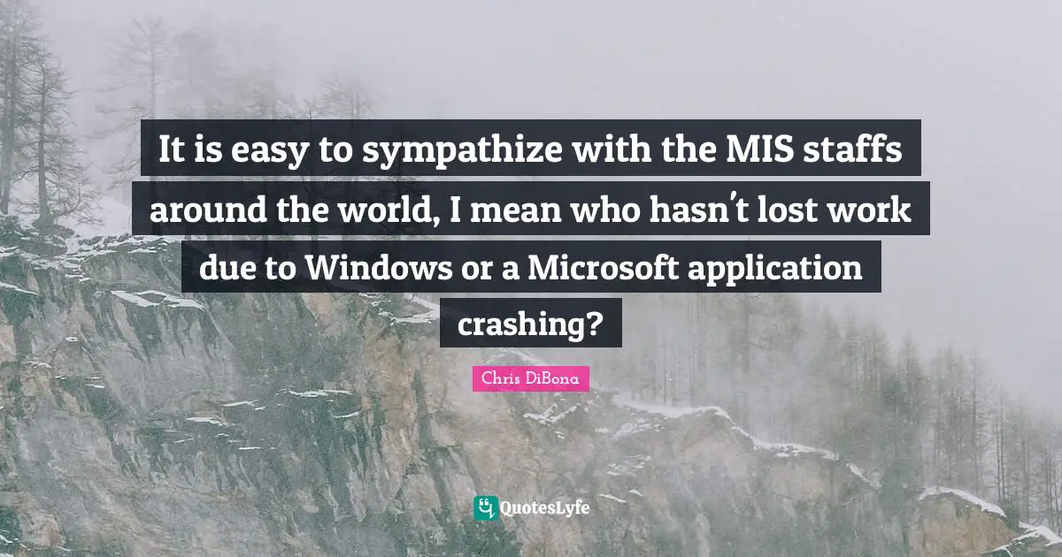 It is easy to sympathize with the MIS staffs around the world, I mean who hasn't lost work due to Windows or a Microsoft application crashing?