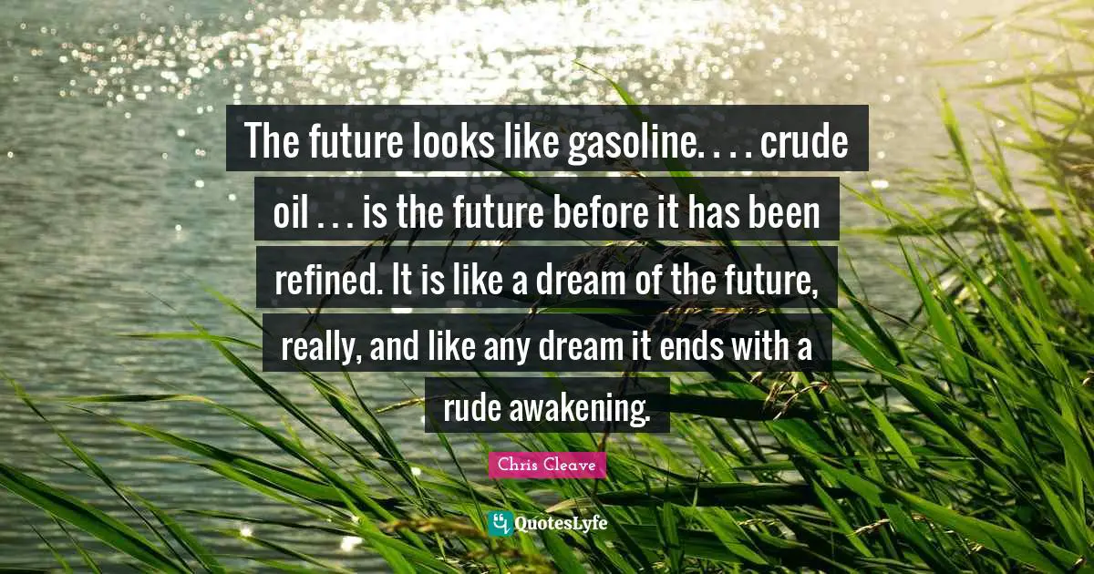 The future looks like gasoline. . . . crude oil . . . is the future before it has been refined. It is like a dream of the future, really, and like any dream it ends with a rude awakening.
