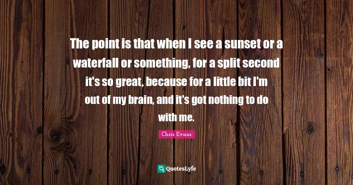 Brain Quotes: "The point is that when I see a sunset or a waterfall or something, for a split second it's so great, because for a little bit I'm out of my brain, and it's got nothing to do with me."