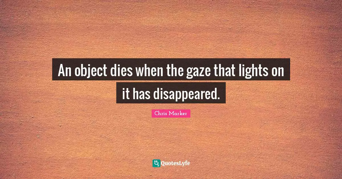 An object dies when the gaze that lights on it has disappeared.