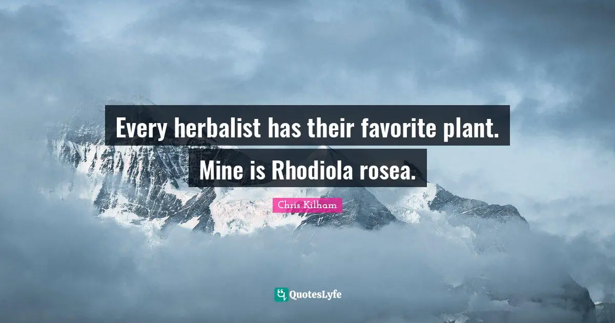 Every herbalist has their favorite plant. Mine is Rhodiola rosea.