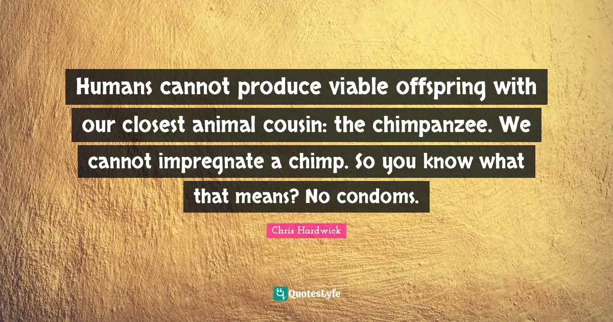 Humans cannot produce viable offspring with our closest animal cousin: the chimpanzee. We cannot impregnate a chimp. So you know what that means? No condoms.
