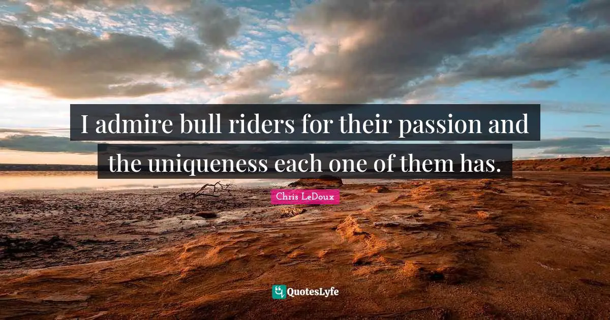 I admire bull riders for their passion and the uniqueness each one of them has.