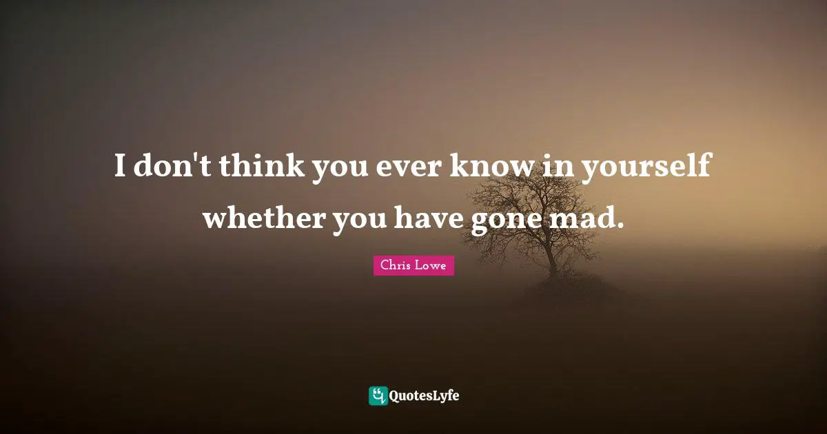 I don't think you ever know in yourself whether you have gone mad.